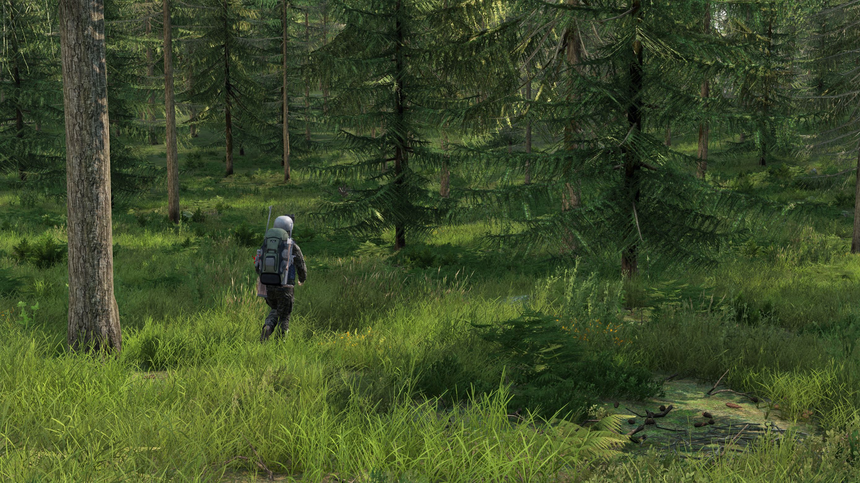 Lush Green County woodlands.